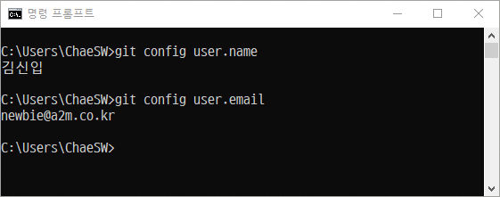 Git 기본 사용자 이름 및 메일 확인
