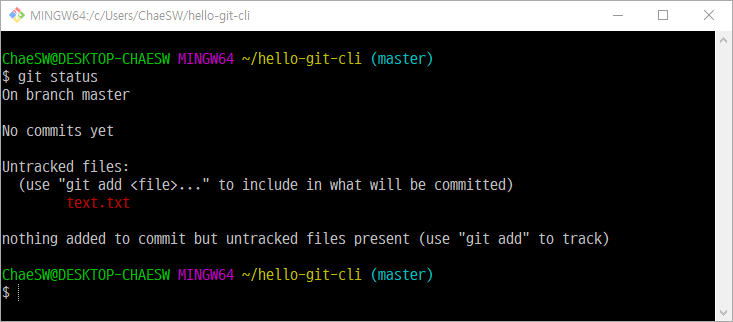 git status