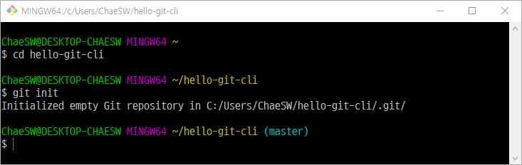 git init 실행