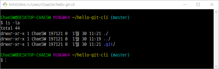 .git 디렉토리가 생성됨